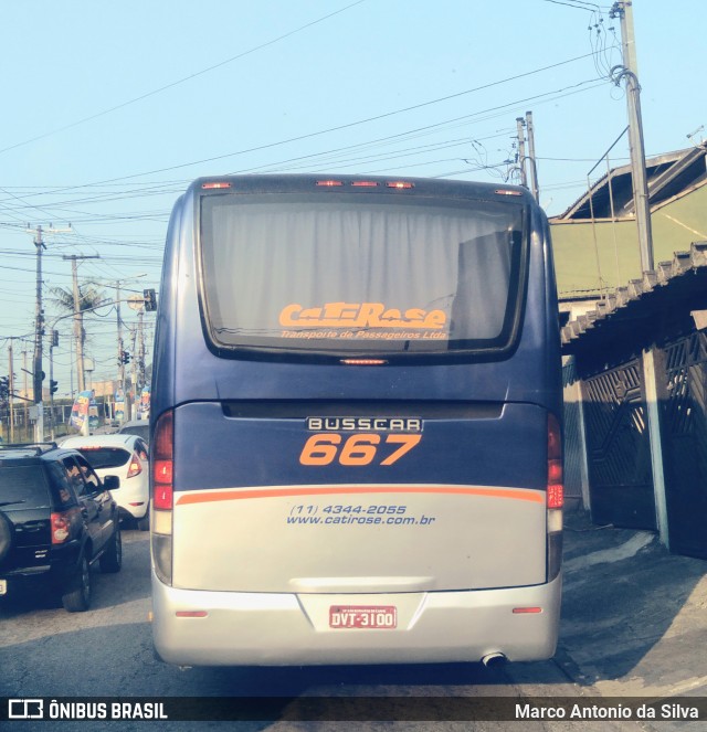Cati Rose Transporte de Passageiros 667 na cidade de São Bernardo do Campo, São Paulo, Brasil, por Marco Antonio da Silva. Número da foto: #12444906.