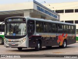 Rápido Campinas 133461 na cidade de Cabreúva, São Paulo, Brasil, por Rafael Campos. Número da foto: #12443590.