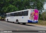 Trampolim da Vitória 109 na cidade de São Gonçalo do Amarante, Ceará, Brasil, por Rodrigo Mota. Número da foto: #12443499.