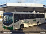 Transportes Cidade do Natal 6-127 na cidade de Natal, Rio Grande do Norte, Brasil, por Davi Felipe. Número da foto: #12444898.