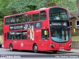 Arriva DW460 na cidade de London, Greater London, Inglaterra, por Fábio Takahashi Tanniguchi. Número da foto: #12447213.