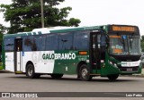 Viação Galo Branco RJ 181.073 na cidade de Niterói, Rio de Janeiro, Brasil, por Luiz Petriz. Número da foto: #:id.