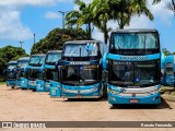 Auto Viação Progresso 6024 na cidade de Recife, Pernambuco, Brasil, por Renato Fernando. Número da foto: #12445935.