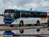 Expresso Vera Cruz 317 na cidade de Recife, Pernambuco, Brasil, por Renato Fernando. Número da foto: #12445947.