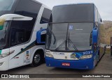 Arara Azul Turismo 2009 na cidade de Aparecida, São Paulo, Brasil, por Isabella Beatriz Pereira. Número da foto: #12447217.