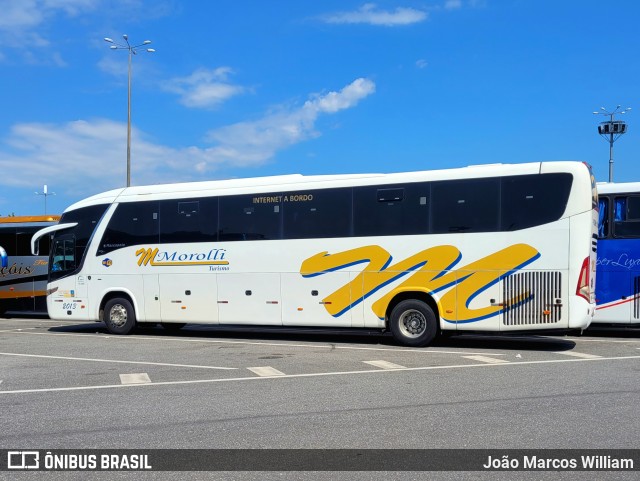 Morolli Transportes e Turismo 2013 na cidade de Aparecida, São Paulo, Brasil, por João Marcos William. Número da foto: #12380057.