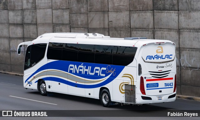 Anáhuac 11443 na cidade de Morelia, Michoacán, México, por Fabián Reyes. Número da foto: #12379820.