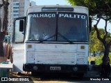 Motorhomes PALHAÇO PALITO na cidade de Fortaleza, Ceará, Brasil, por Wescley  Costa. Número da foto: #12380451.