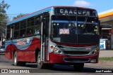 Empresa de Transporte La Caacupeña S.A. 078 na cidade de San Lorenzo, Central, Paraguai, por José Paredes. Número da foto: #12380889.