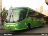 Pássaro Verde 16910 na cidade de Belo Horizonte, Minas Gerais, Brasil, por Renato Brito. Número da foto: #:id.