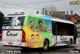 Citral Transporte e Turismo 3503 na cidade de Canela, Rio Grande do Sul, Brasil, por Filipe Lima. Número da foto: #12449706.