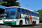 Empresa de Transportes Andorinha 4185 na cidade de Assis, São Paulo, Brasil, por Francisco Ivano. Número da foto: #12448194.