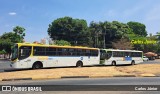 HP Transportes Coletivos 20503 na cidade de Goiânia, Goiás, Brasil, por Carlos Júnior. Número da foto: #12450068.