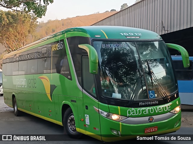Pássaro Verde 16912 na cidade de Ponte Nova, Minas Gerais, Brasil, por Samuel Tomás de Souza. Número da foto: #12381330.