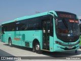 Linave Transportes RJ 146.013 na cidade de Duque de Caxias, Rio de Janeiro, Brasil, por Jorge Gonçalves. Número da foto: #12382630.