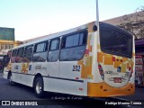 Radial Transporte Coletivo 202 na cidade de Ferraz de Vasconcelos, São Paulo, Brasil, por Rodrigo Moreira Correia. Número da foto: #12381251.