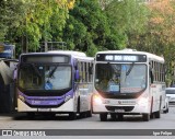 Borborema Imperial Transportes 216 na cidade de Recife, Pernambuco, Brasil, por Igor Felipe. Número da foto: #:id.