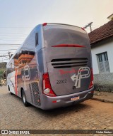 Paraibuna Transportes 22022 na cidade de Pedra Dourada, Minas Gerais, Brasil, por Victor Santos. Número da foto: #12384048.