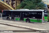 Viação Santa Brígida 1 1519 na cidade de São Paulo, São Paulo, Brasil, por Diego Cardoso da Silva. Número da foto: #12382793.