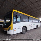 Coletivo Transportes 3545 na cidade de Caruaru, Pernambuco, Brasil, por Vinicius Palone. Número da foto: #12383478.