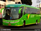 Pássaro Verde 16910 na cidade de Belo Horizonte, Minas Gerais, Brasil, por César Ônibus. Número da foto: #:id.