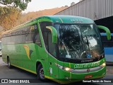 Pássaro Verde 16912 na cidade de Ponte Nova, Minas Gerais, Brasil, por Samuel Tomás de Souza. Número da foto: #12381330.