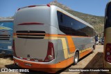 Autobuses sin identificación - Chile  na cidade de Rinconada, Los Andes, Valparaíso, Chile, por Sebastián Ignacio Alvarado Herrera. Número da foto: #12386455.