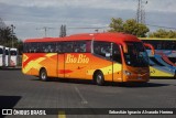 Buses Bio Bio 357 na cidade de Chillán, Ñuble, Bío-Bío, Chile, por Sebastián Ignacio Alvarado Herrera. Número da foto: #12386577.