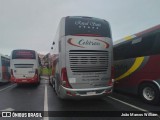 Colitran Transporte e Turismo 16100 na cidade de Aparecida, São Paulo, Brasil, por João Marcos William. Número da foto: #12386847.