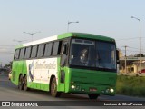 Oliveira Transportes 5051 na cidade de Caruaru, Pernambuco, Brasil, por Lenilson da Silva Pessoa. Número da foto: #12385823.