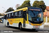 Empresa São Salvador 2 011 na cidade de Campos dos Goytacazes, Rio de Janeiro, Brasil, por Anderson Pessanha. Número da foto: #12385453.