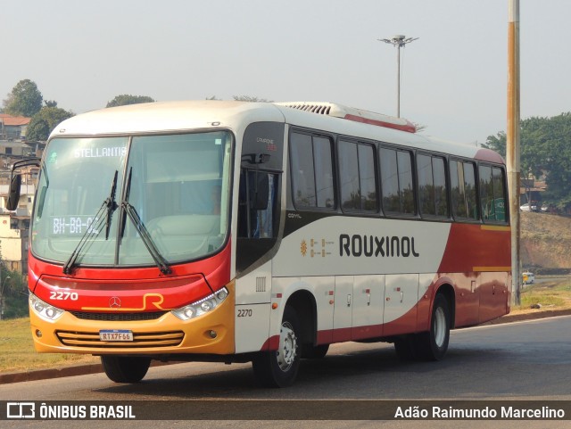 Rouxinol 2270 na cidade de Belo Horizonte, Minas Gerais, Brasil, por Adão Raimundo Marcelino. Número da foto: #12389462.