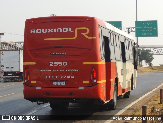 Rouxinol 2350 na cidade de Belo Horizonte, Minas Gerais, Brasil, por Adão Raimundo Marcelino. Número da foto: #12389452.
