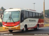 Rouxinol 2270 na cidade de Belo Horizonte, Minas Gerais, Brasil, por Adão Raimundo Marcelino. Número da foto: #12389462.