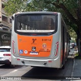 TRANSPPASS - Transporte de Passageiros 8 0114 na cidade de São Paulo, São Paulo, Brasil, por Michel Nowacki. Número da foto: #12389151.