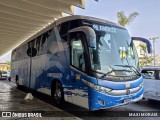 Cruzeiro Esporte Clube RAPOSA na cidade de Belo Horizonte, Minas Gerais, Brasil, por MAXI MORAIS. Número da foto: #12388209.