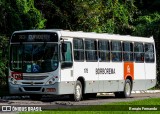 Borborema Imperial Transportes 178 na cidade de Recife, Pernambuco, Brasil, por Renato Fernando. Número da foto: #12388917.