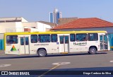 Viação Itaqueri 1504 na cidade de Piracicaba, São Paulo, Brasil, por Diego Cardoso da Silva. Número da foto: #12387505.