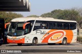 Viação Platina 4100 na cidade de Uberlândia, Minas Gerais, Brasil, por Matheus Souza. Número da foto: #12388159.