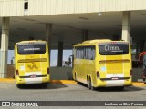 Viação Itapemirim 8719 na cidade de Caruaru, Pernambuco, Brasil, por Lenilson da Silva Pessoa. Número da foto: #12388779.
