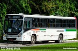 Borborema Imperial Transportes 940 na cidade de Recife, Pernambuco, Brasil, por Renato Fernando. Número da foto: #12388926.