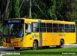 Borborema Imperial Transportes 312 na cidade de Recife, Pernambuco, Brasil, por Renato Fernando. Número da foto: #12388938.