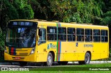 Borborema Imperial Transportes 313 na cidade de Recife, Pernambuco, Brasil, por Renato Fernando. Número da foto: #12388935.