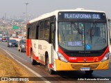 Rouxinol 2350 na cidade de Belo Horizonte, Minas Gerais, Brasil, por Adão Raimundo Marcelino. Número da foto: #12389440.