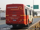 Rouxinol 2350 na cidade de Belo Horizonte, Minas Gerais, Brasil, por Adão Raimundo Marcelino. Número da foto: #12389452.