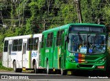 Borborema Imperial Transportes 287 na cidade de Recife, Pernambuco, Brasil, por Renato Fernando. Número da foto: #12388907.