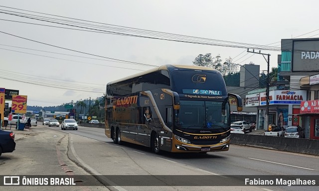 Auto Viação Gadotti 8020 na cidade de Itajaí, Santa Catarina, Brasil, por Fabiano Magalhaes. Número da foto: #12391058.