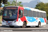 Viação Pavunense B32533 na cidade de Rio de Janeiro, Rio de Janeiro, Brasil, por Paulo Henrique Pereira Borges. Número da foto: #12390441.