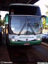 Empresa de Transportes Andorinha 5591 na cidade de Salto Grande, São Paulo, Brasil, por Alberto Gomes Vale. Número da foto: #12391253.
