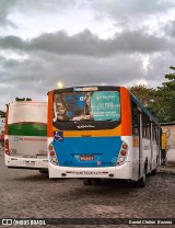 Borborema Imperial Transportes 463 na cidade de Jaboatão dos Guararapes, Pernambuco, Brasil, por Daniel Cleiton  Bezerra. Número da foto: #12390113.